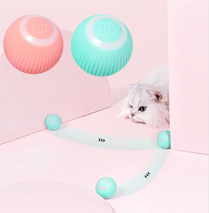 Interactive Pet Ball